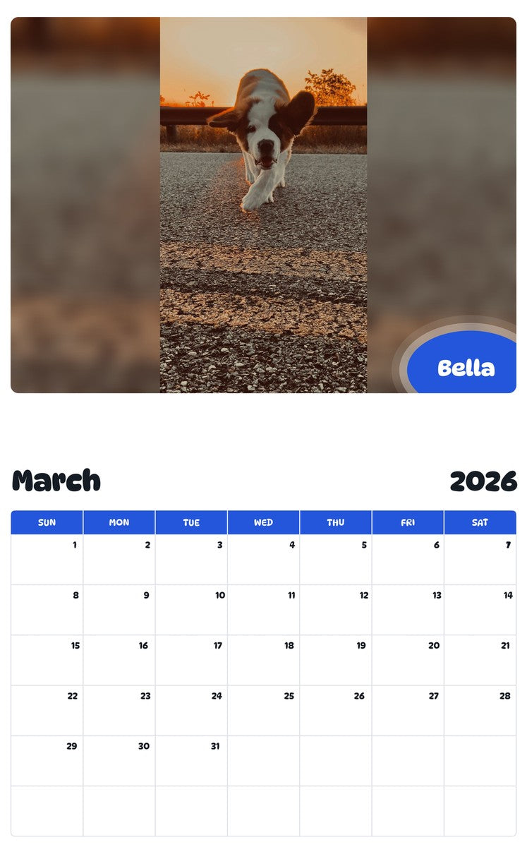 November 2025 - October 2026 Bella - Pawidols Pet Calendar