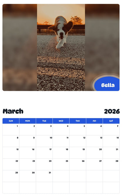 November 2025 - October 2026 Bella - Pawidols Pet Calendar