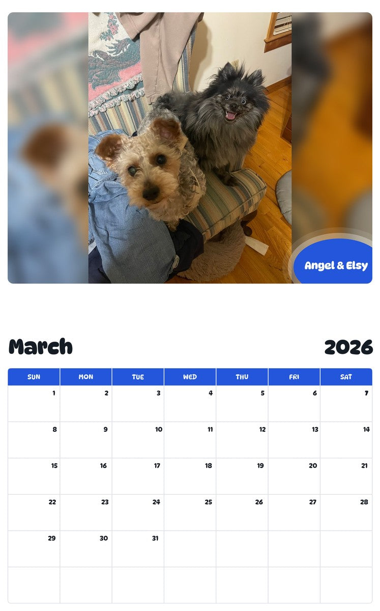November 2025 - October 2026 Angel & Elsy - Pawidols Pet Calendar