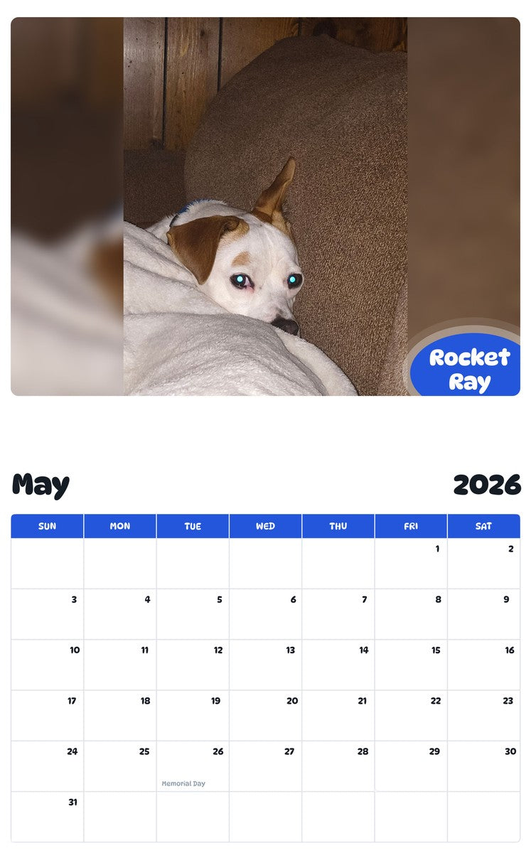 2026 - 2027 Rocket Ray - Pawidols Pet Calendar