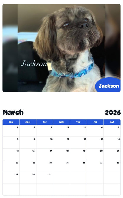 November 2025 - October 2026 Jackson - Pawidols Pet Calendar