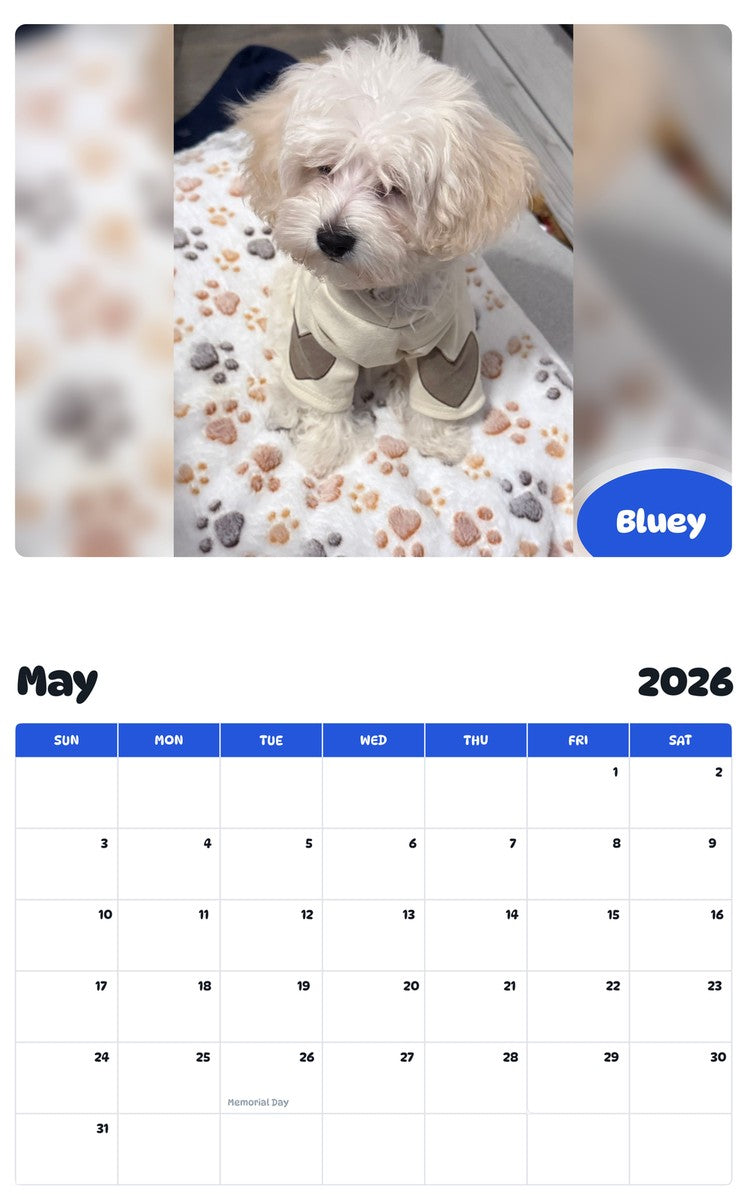 2026 - 2027 Bluey - Pawidols Pet Calendar