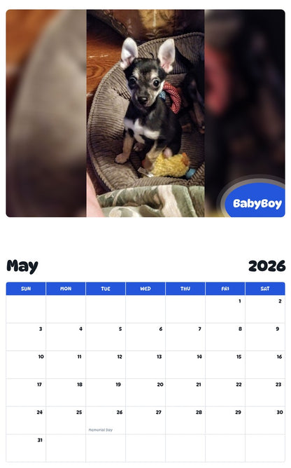2026 - 2027 BabyBoy - Pawidols Pet Calendar