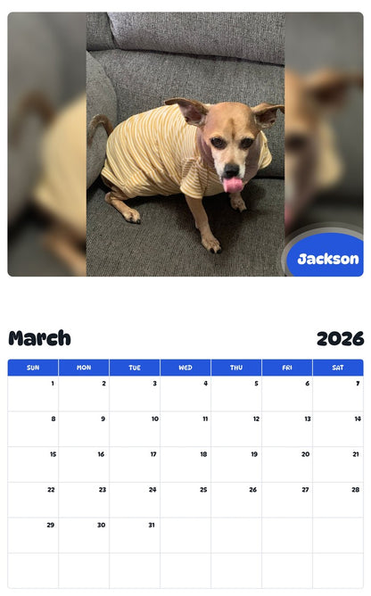 November 2025 - October 2026 Jackson - Pawidols Pet Calendar