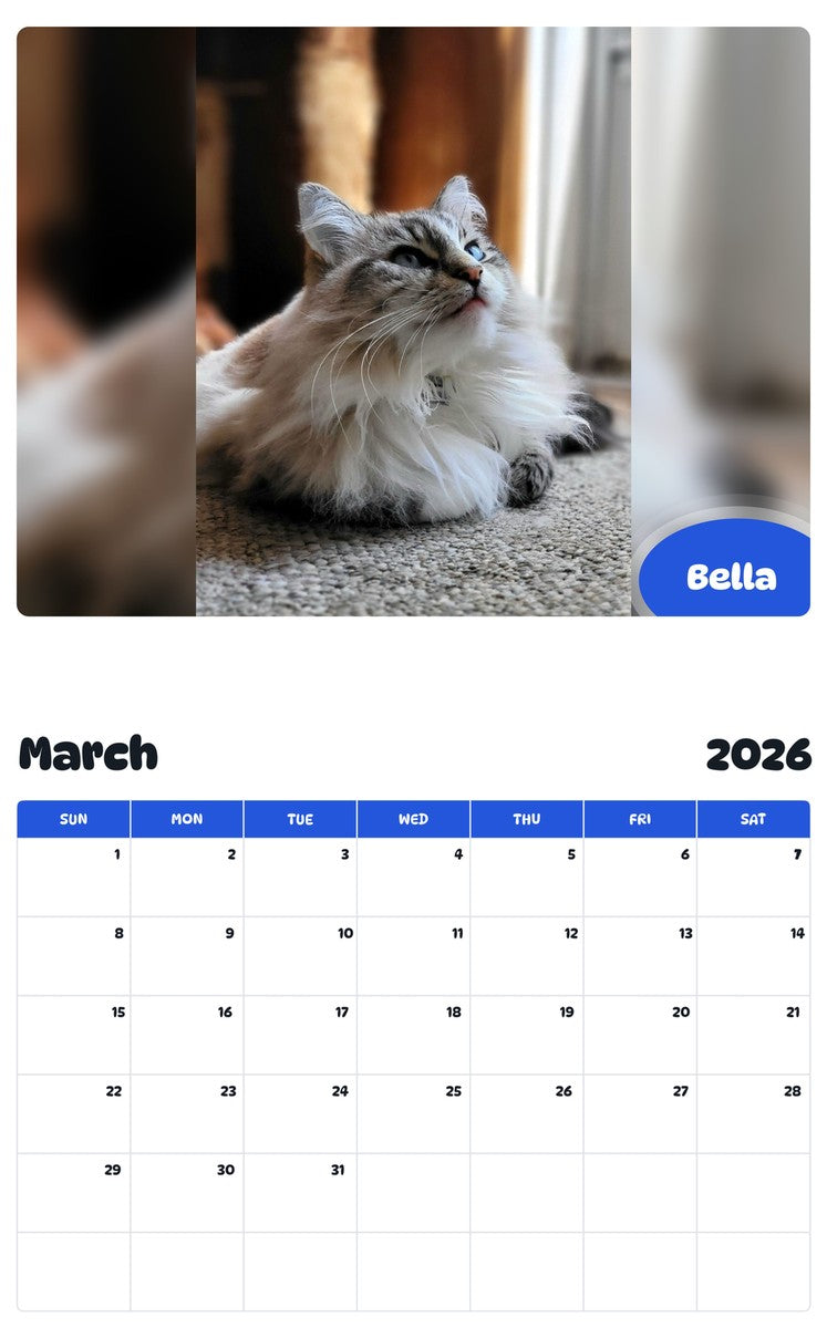 November 2025 - October 2026 Bella - Pawidols Pet Calendar
