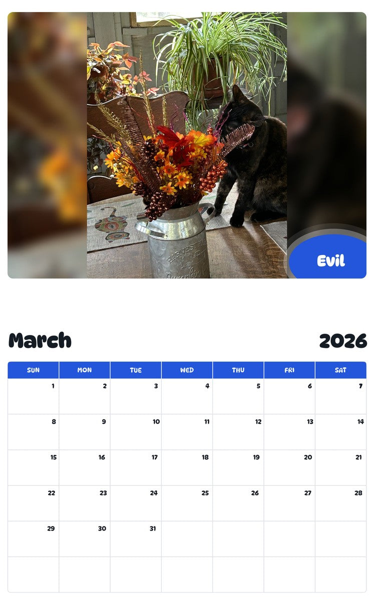 November 2025 - October 2026 Evil - Pawidols Pet Calendar