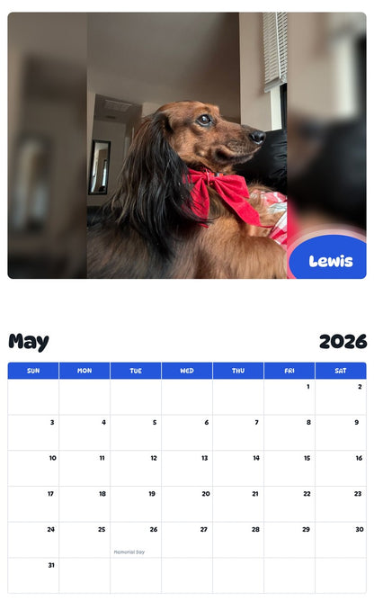 2026 - 2027 Lewis - Pawidols Pet Calendar