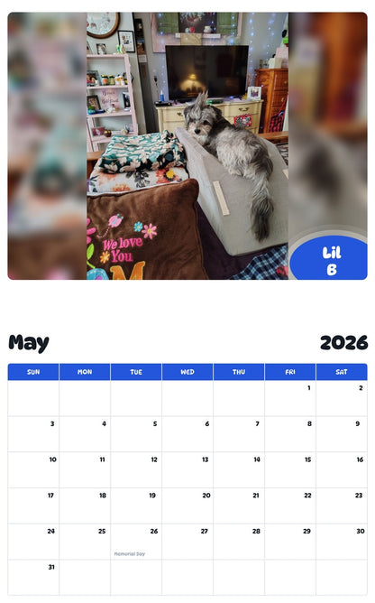 2026 - 2027 Lil B - Pawidols Pet Calendar