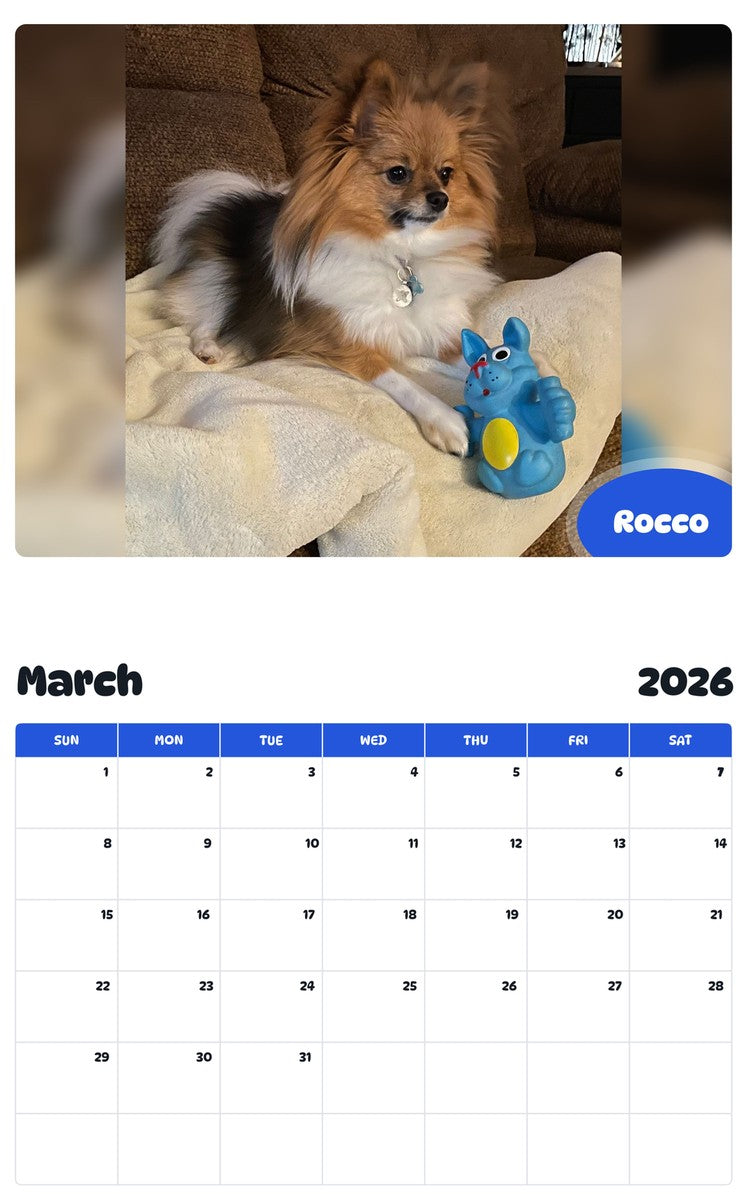 November 2025 - October 2026 Rocco - Pawidols Pet Calendar