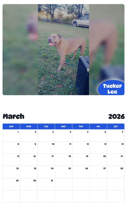 November 2025 - October 2026 Tucker Lee - Pawidols Pet Calendar