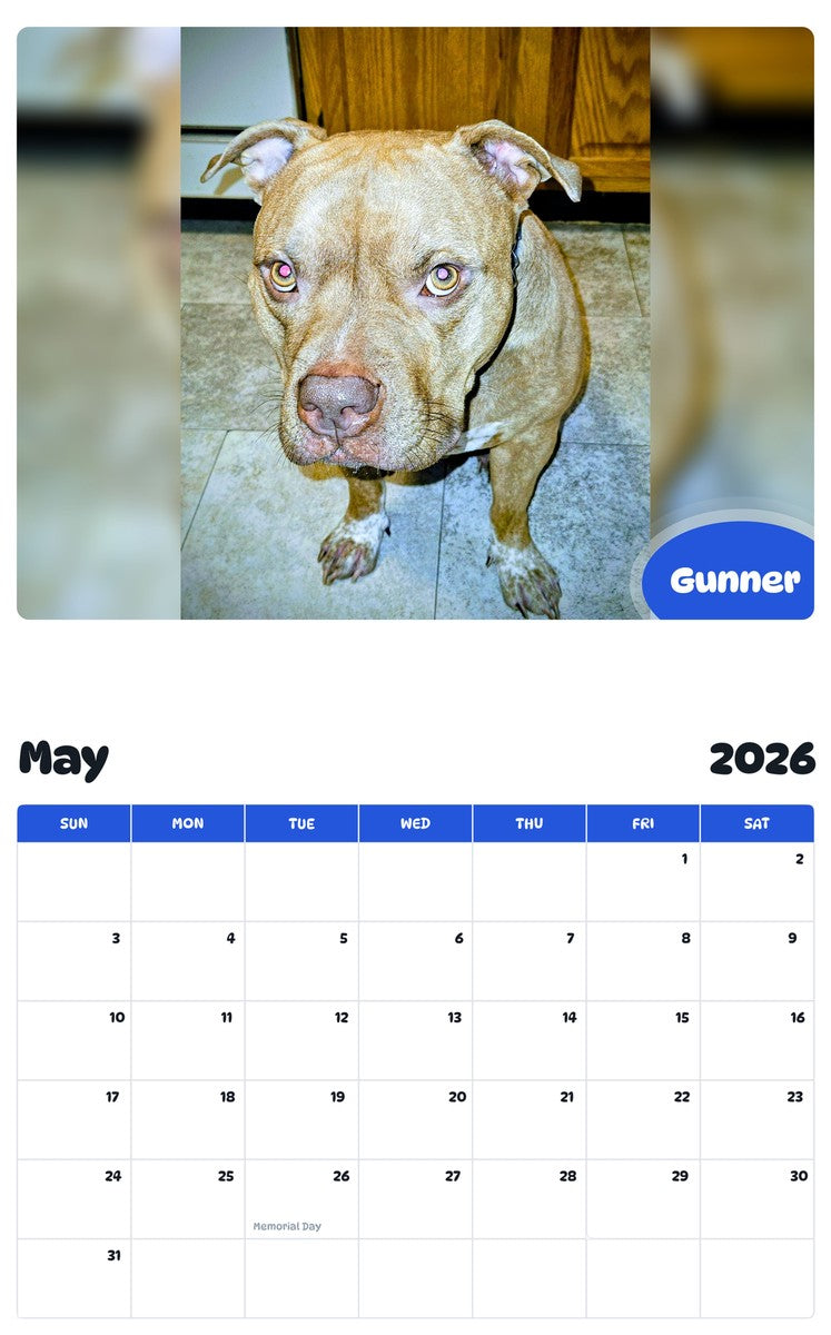 2026 - 2027 Gunner - Pawidols Pet Calendar