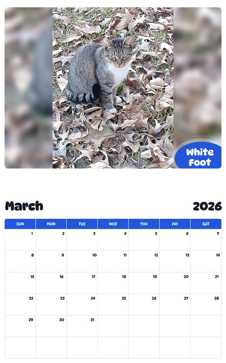 November 2025 - October 2026 White Foot - Pawidols Pet Calendar