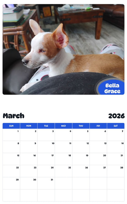 November 2025 - October 2026 Bella Grace - Pawidols Pet Calendar