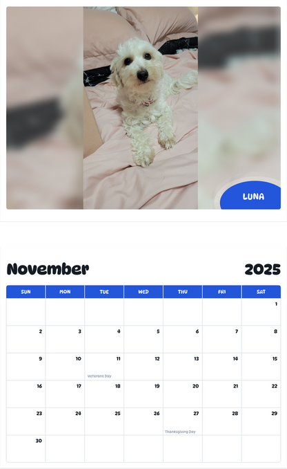 July 2025 - June 2026 Luna - Pawidols Pet Calendar