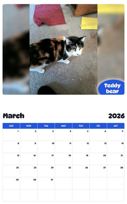 November 2025 - October 2026 Teddy bear - Pawidols Pet Calendar