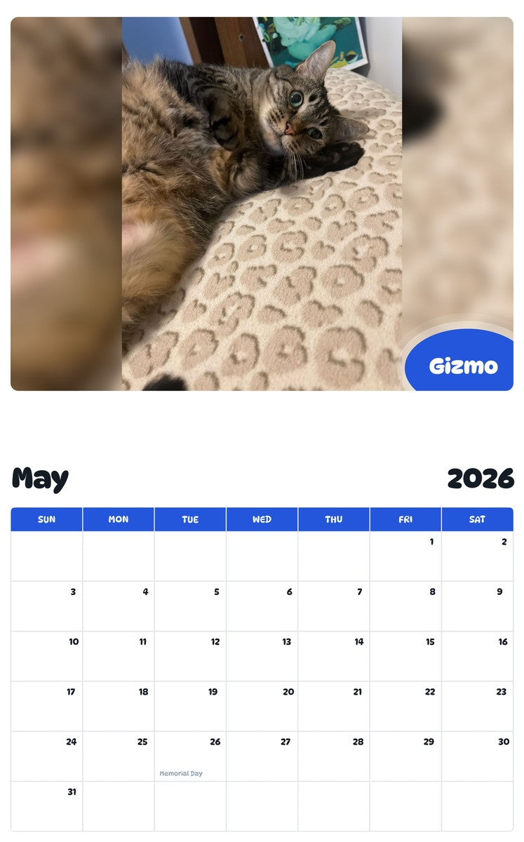 2026 - 2027 Gizmo - Pawidols Pet Calendar