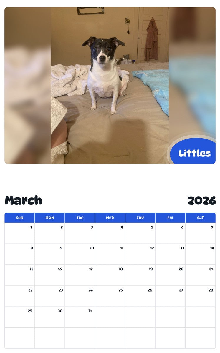 November 2025 - October 2026 Littles - Pawidols Pet Calendar