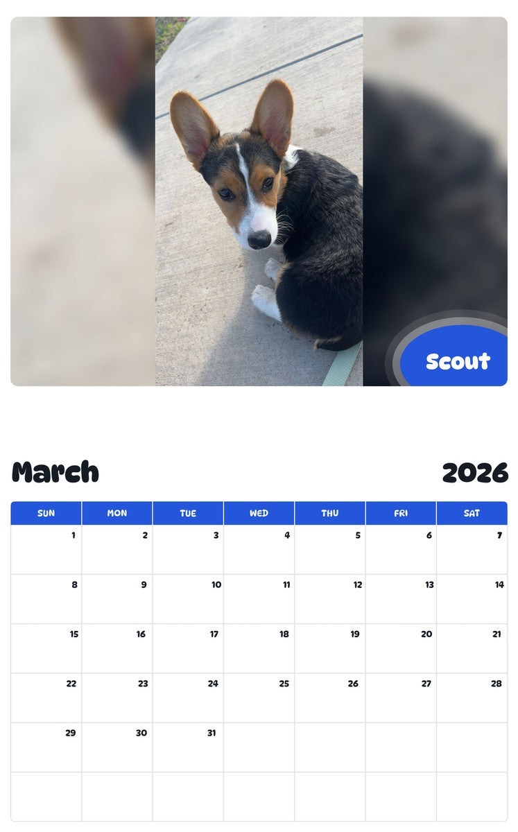 November 2025 - October 2026 Scout - Pawidols Pet Calendar