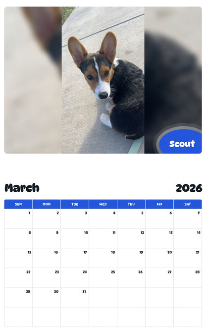 November 2025 - October 2026 Scout - Pawidols Pet Calendar
