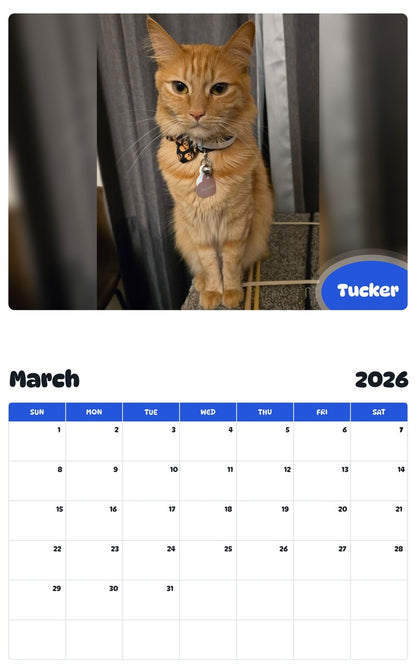 November 2025 - October 2026 Tucker - Pawidols Pet Calendar