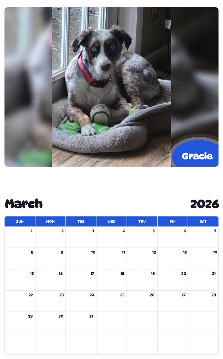 November 2025 - October 2026 Gracie - Pawidols Pet Calendar