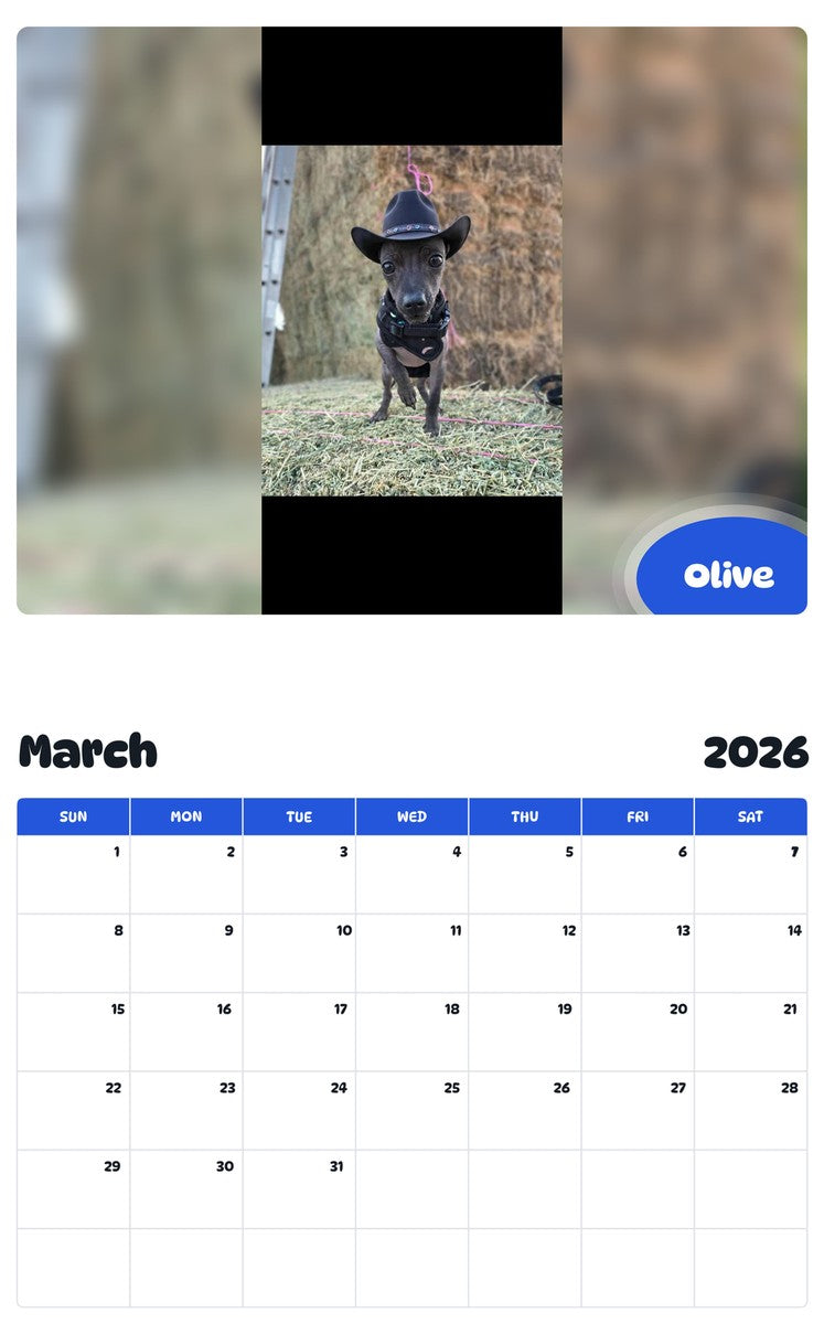 November 2025 - October 2026 Olive - Pawidols Pet Calendar