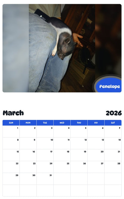 November 2025 - October 2026 Penelope - Pawidols Pet Calendar