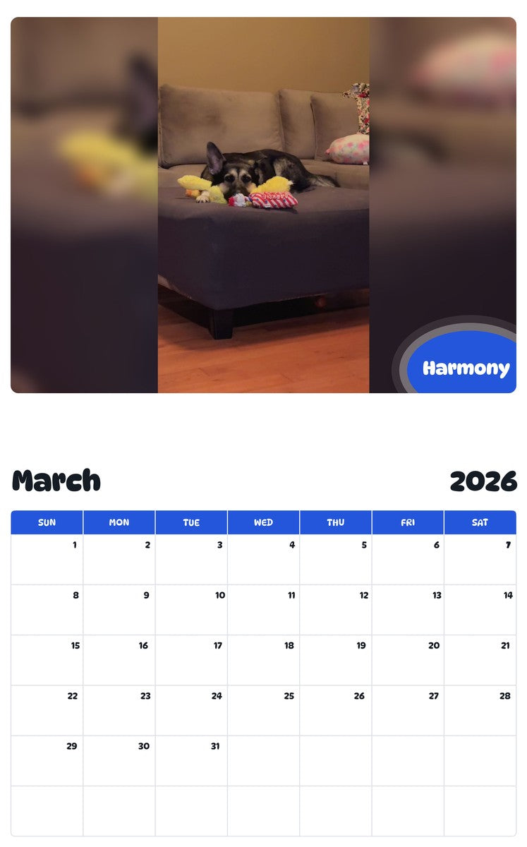 November 2025 - October 2026 Harmony - Pawidols Pet Calendar
