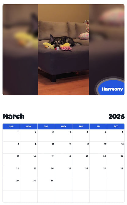 November 2025 - October 2026 Harmony - Pawidols Pet Calendar