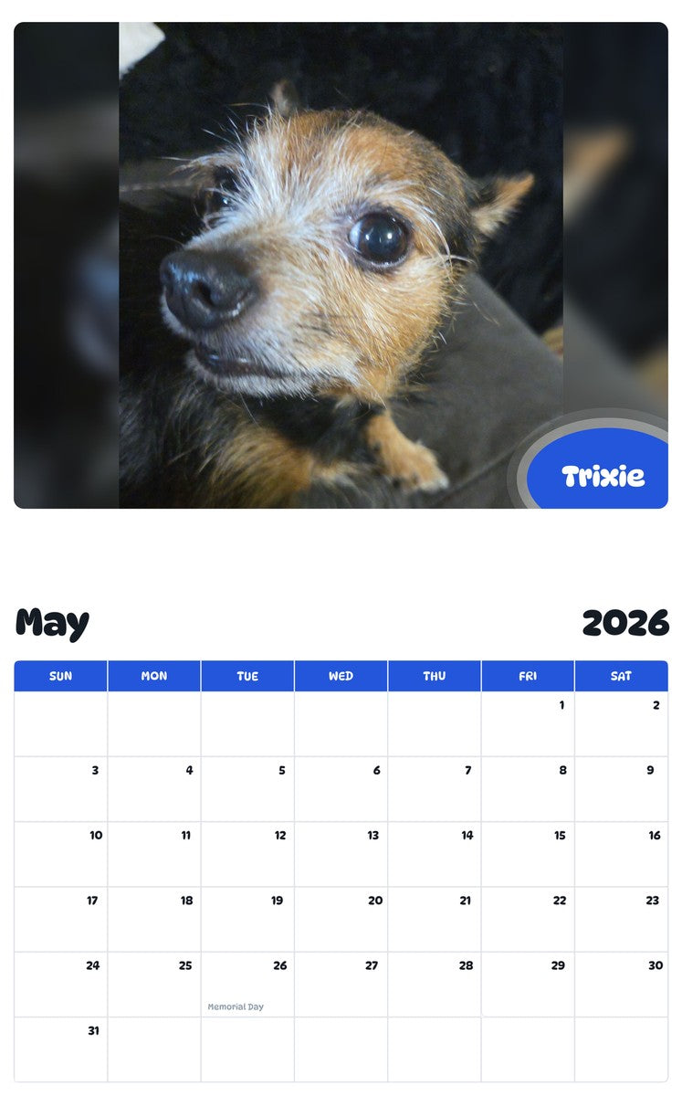 2026 - 2027 Trixie - Pawidols Pet Calendar