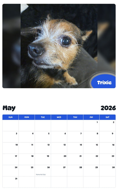 2026 - 2027 Trixie - Pawidols Pet Calendar