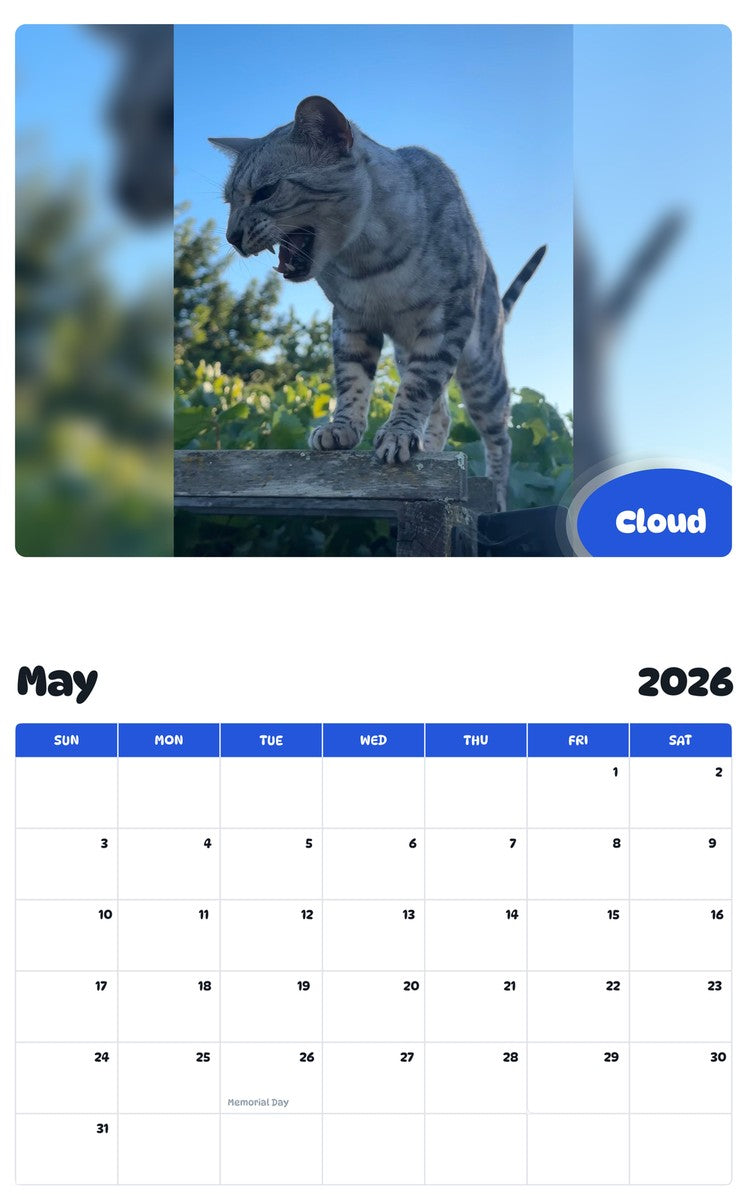 2026 - 2027 Cloud - Pawidols Pet Calendar