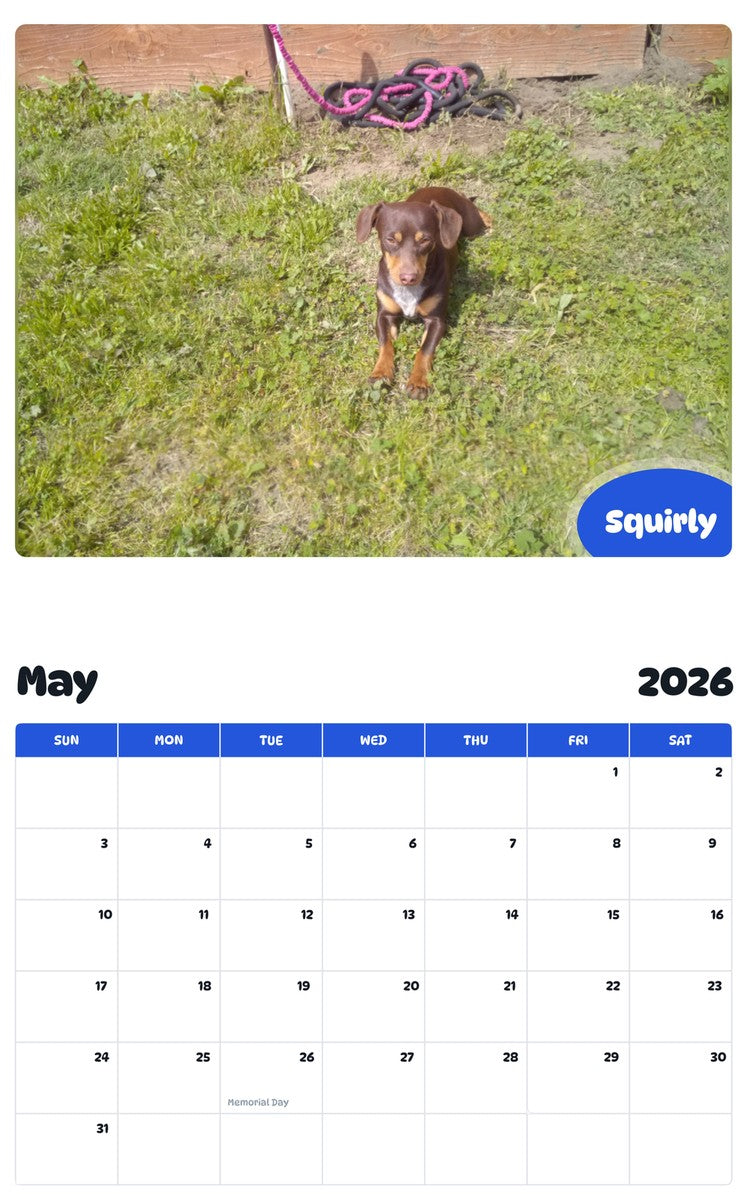 2026 - 2027 Squirly - Pawidols Pet Calendar