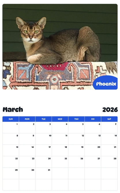 November 2025 - October 2026 Phoenix - Pawidols Pet Calendar