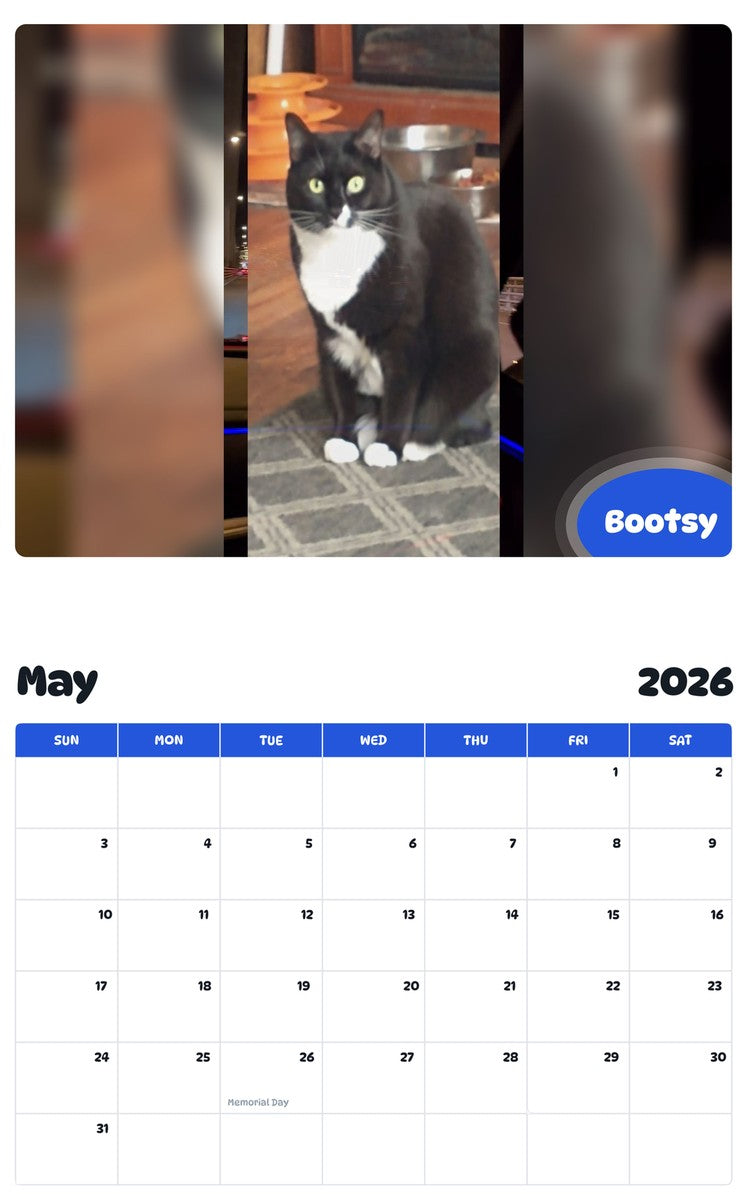 2026 - 2027 Bootsy - Pawidols Pet Calendar