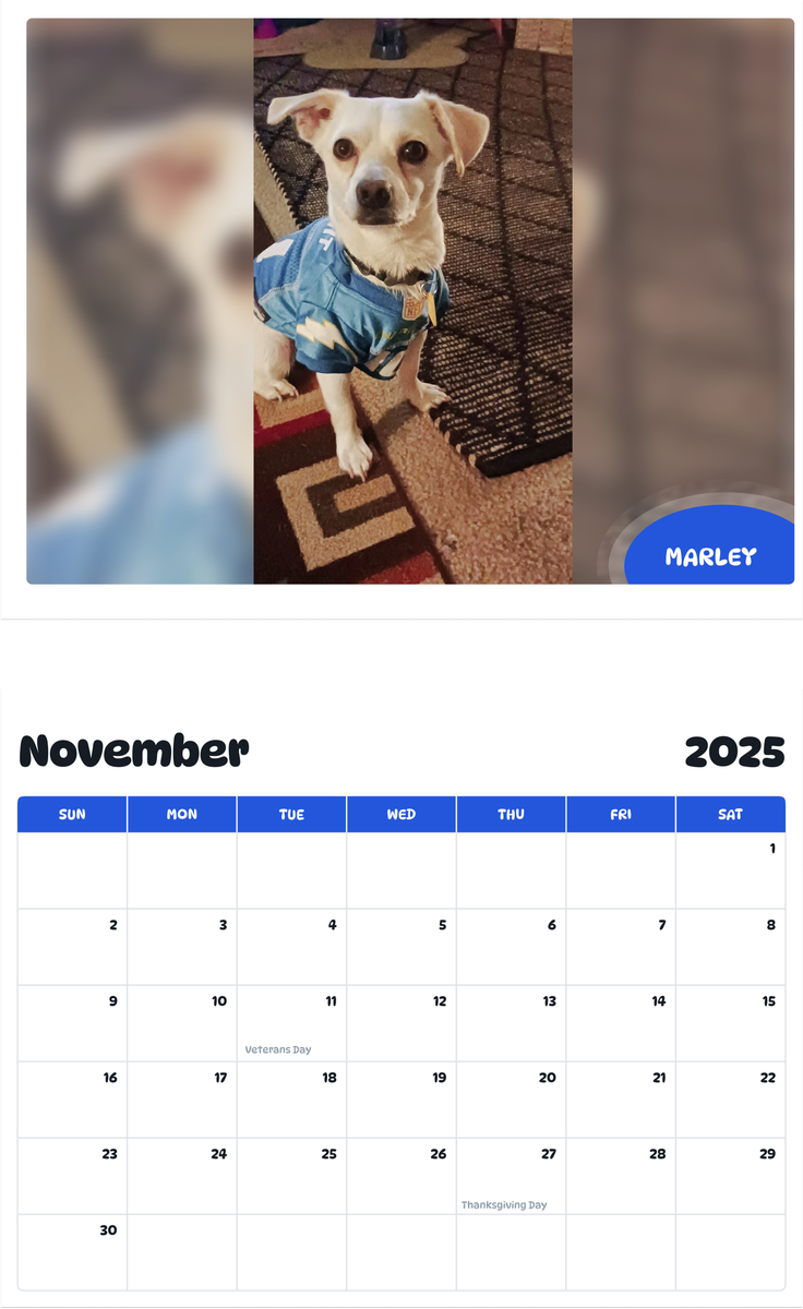 July 2025 - June 2026 Marley - Pawidols Pet Calendar