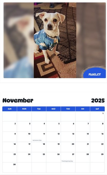 July 2025 - June 2026 Marley - Pawidols Pet Calendar