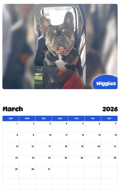 November 2025 - October 2026 Wiggles - Pawidols Pet Calendar
