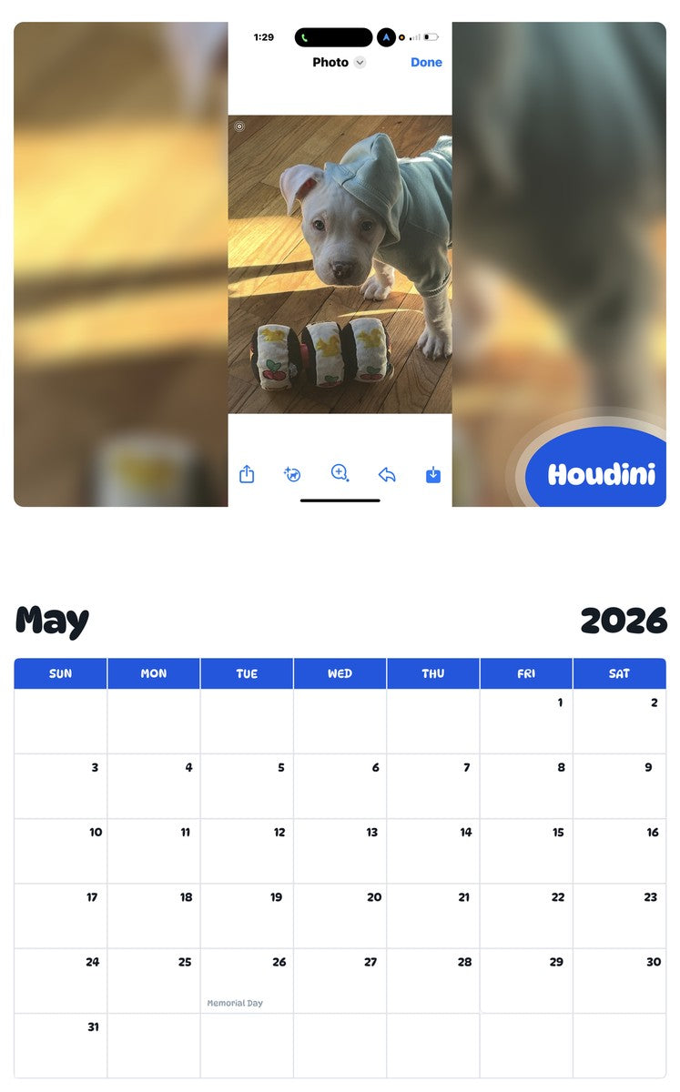 2026 - 2027 Houdini - Pawidols Pet Calendar