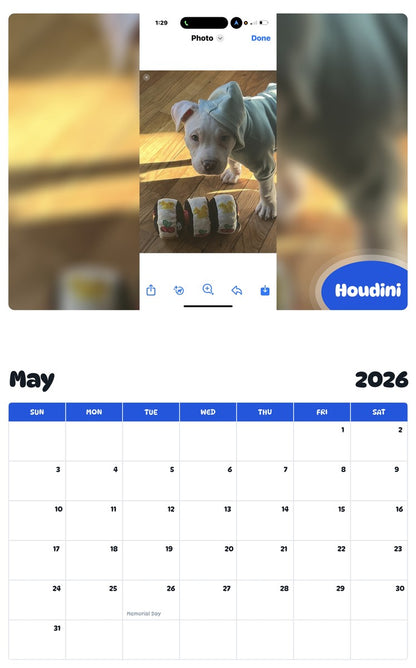 2026 - 2027 Houdini - Pawidols Pet Calendar