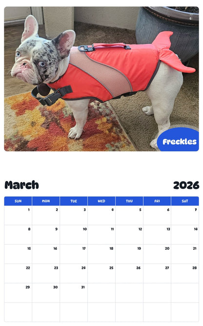 November 2025 - October 2026 Freckles - Pawidols Pet Calendar