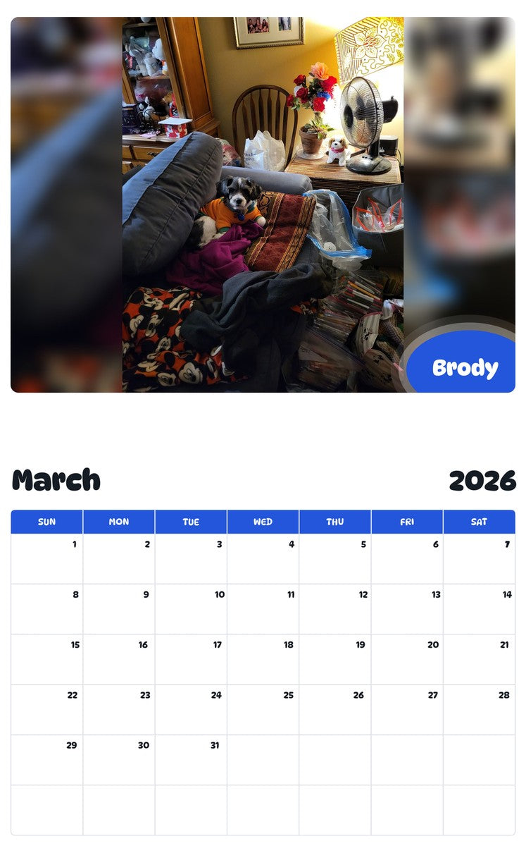November 2025 - October 2026 Brody - Pawidols Pet Calendar