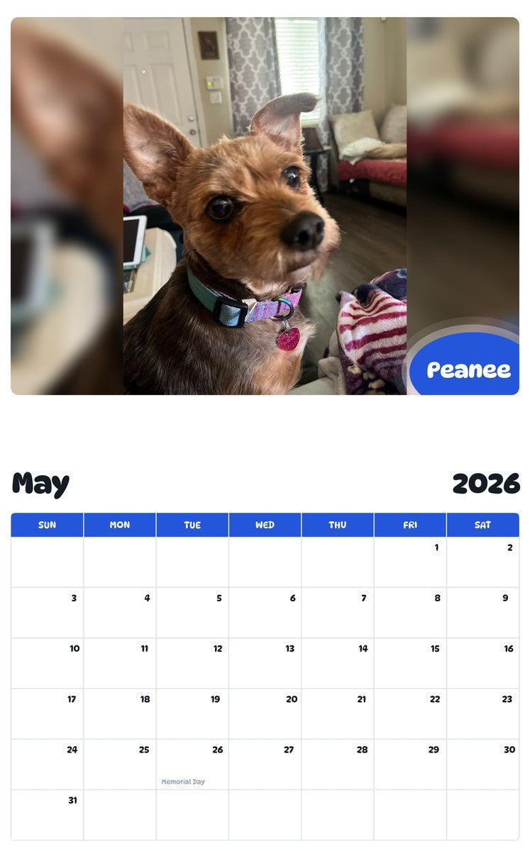 2026 - 2027 Peanee - Pawidols Pet Calendar