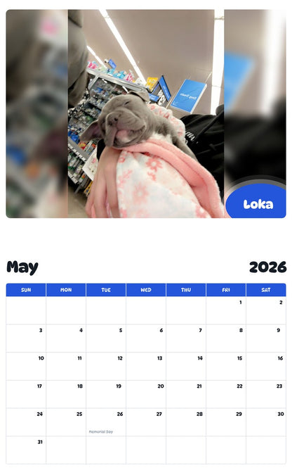 2026 - 2027 Loka - Pawidols Pet Calendar