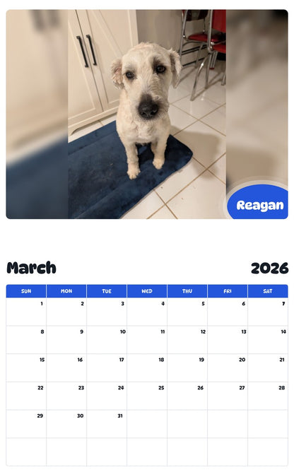November 2025 - October 2026 Reagan - Pawidols Pet Calendar