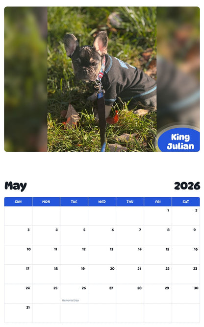 2026 - 2027 King Julian - Pawidols Pet Calendar