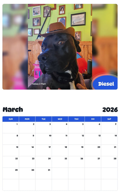 November 2025 - October 2026 Diesel - Pawidols Pet Calendar
