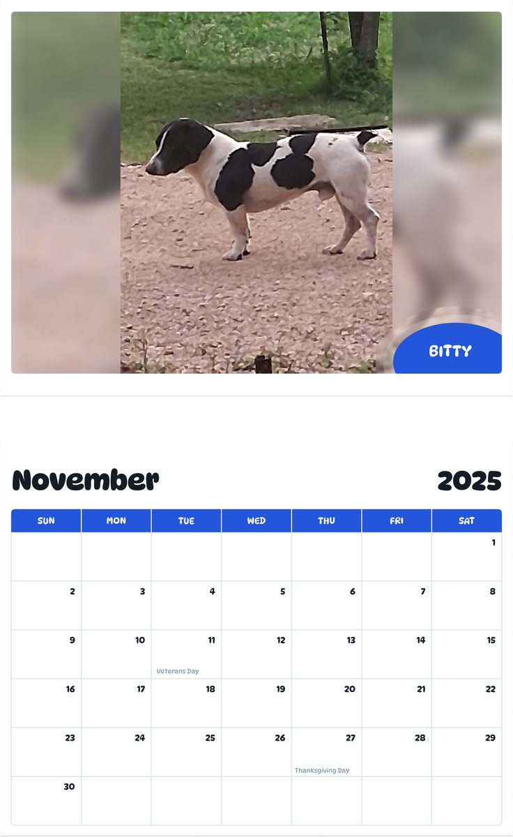 July 2025 - June 2026 Bitty - Pawidols Pet Calendar