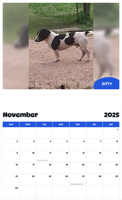 July 2025 - June 2026 Bitty - Pawidols Pet Calendar