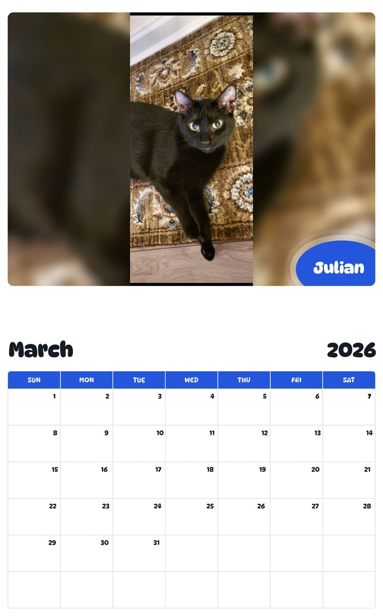 November 2025 - October 2026 Julian - Pawidols Pet Calendar